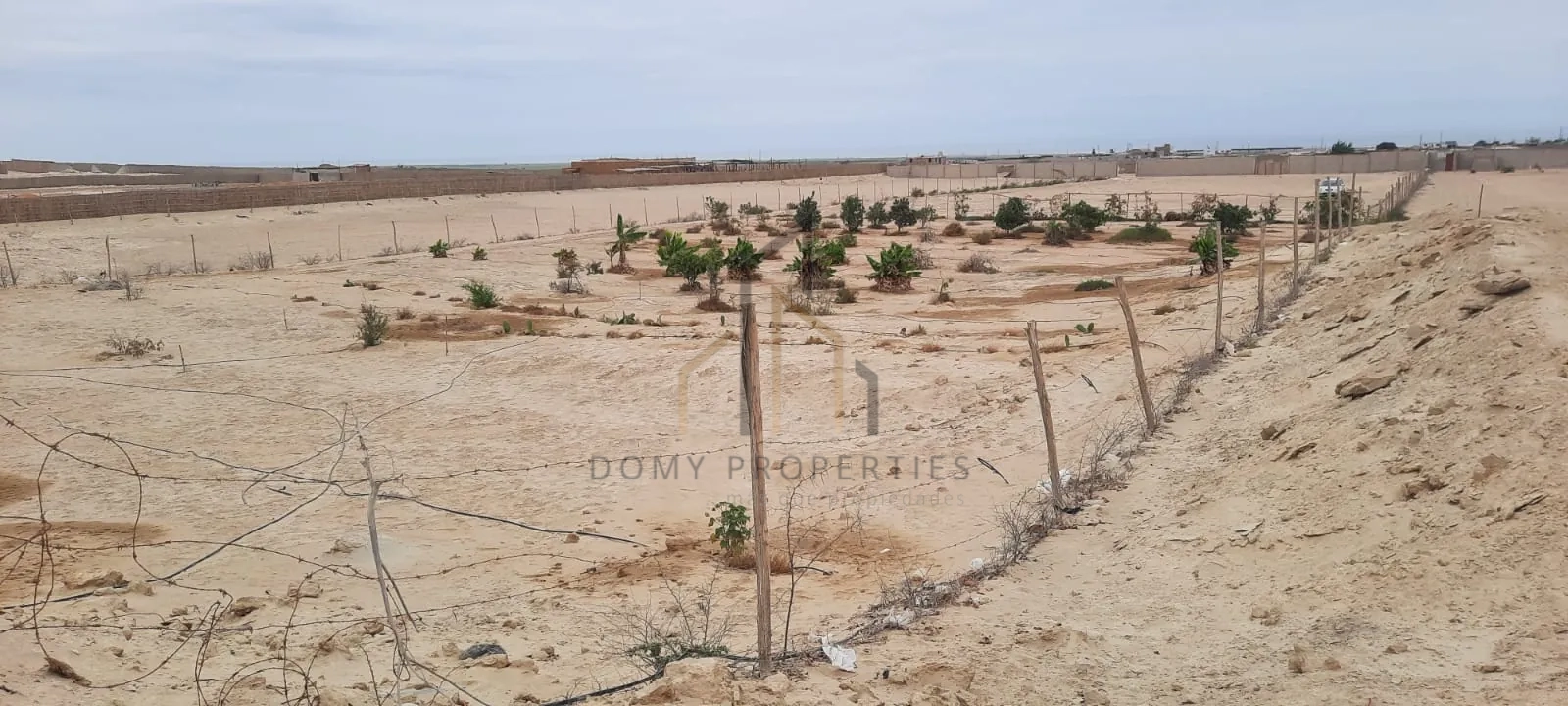 Imagen 6 de la propiedad