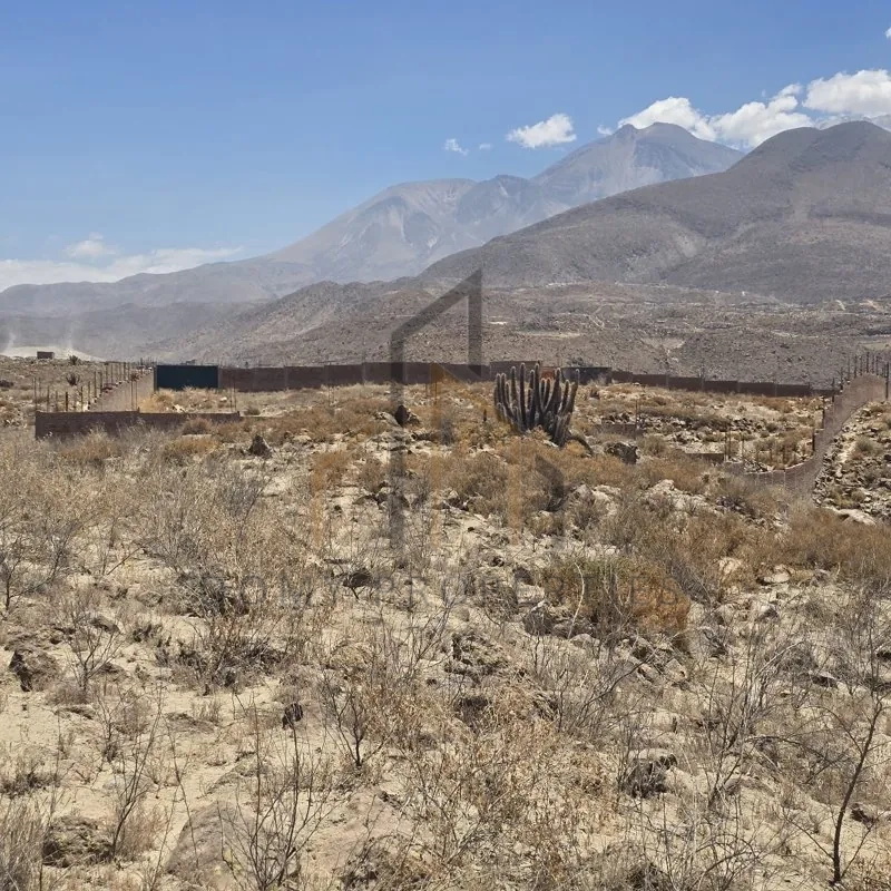 Imagen 6 de la propiedad