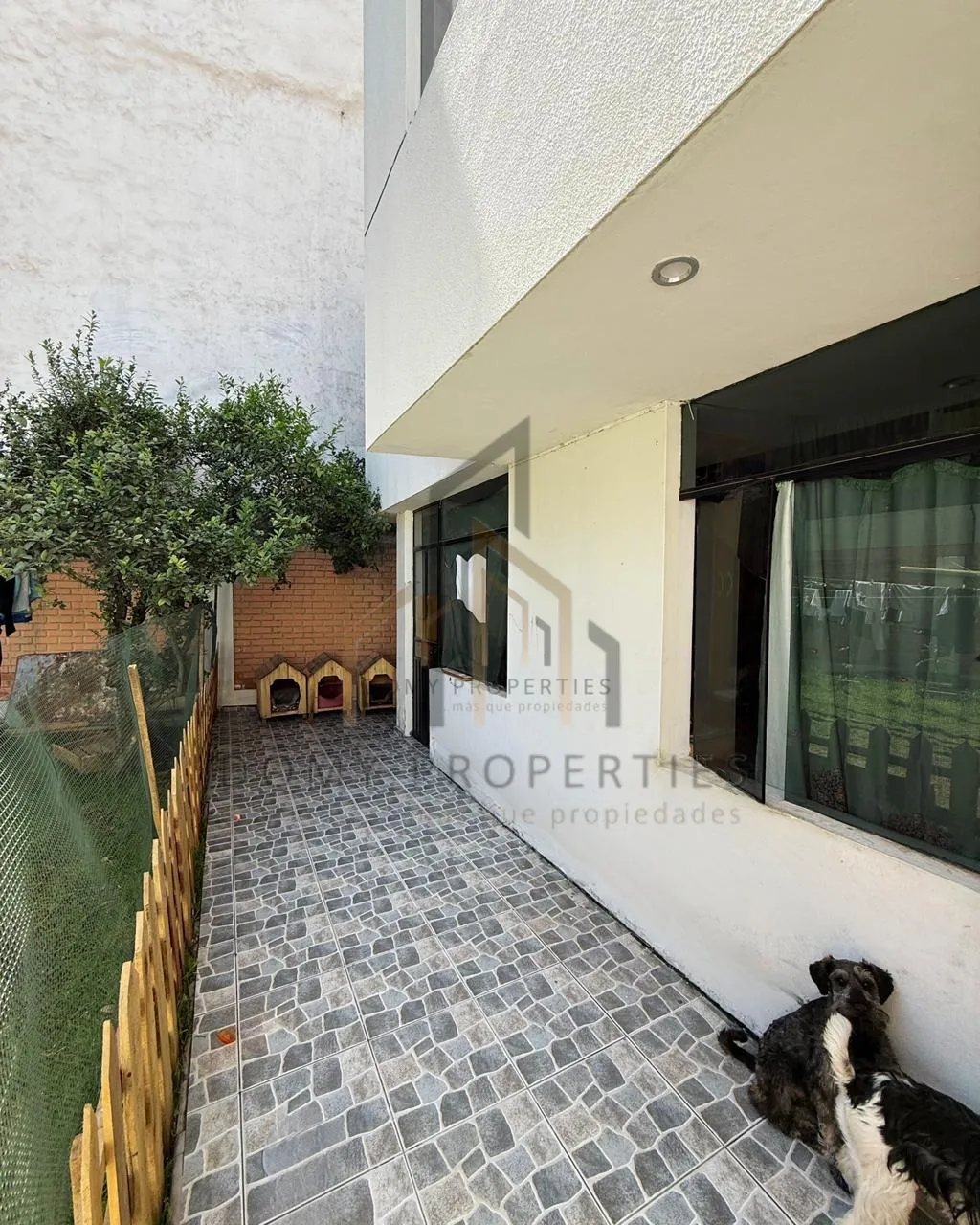 Imagen 3 de la propiedad